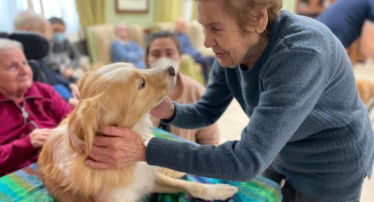 Pet Therapy