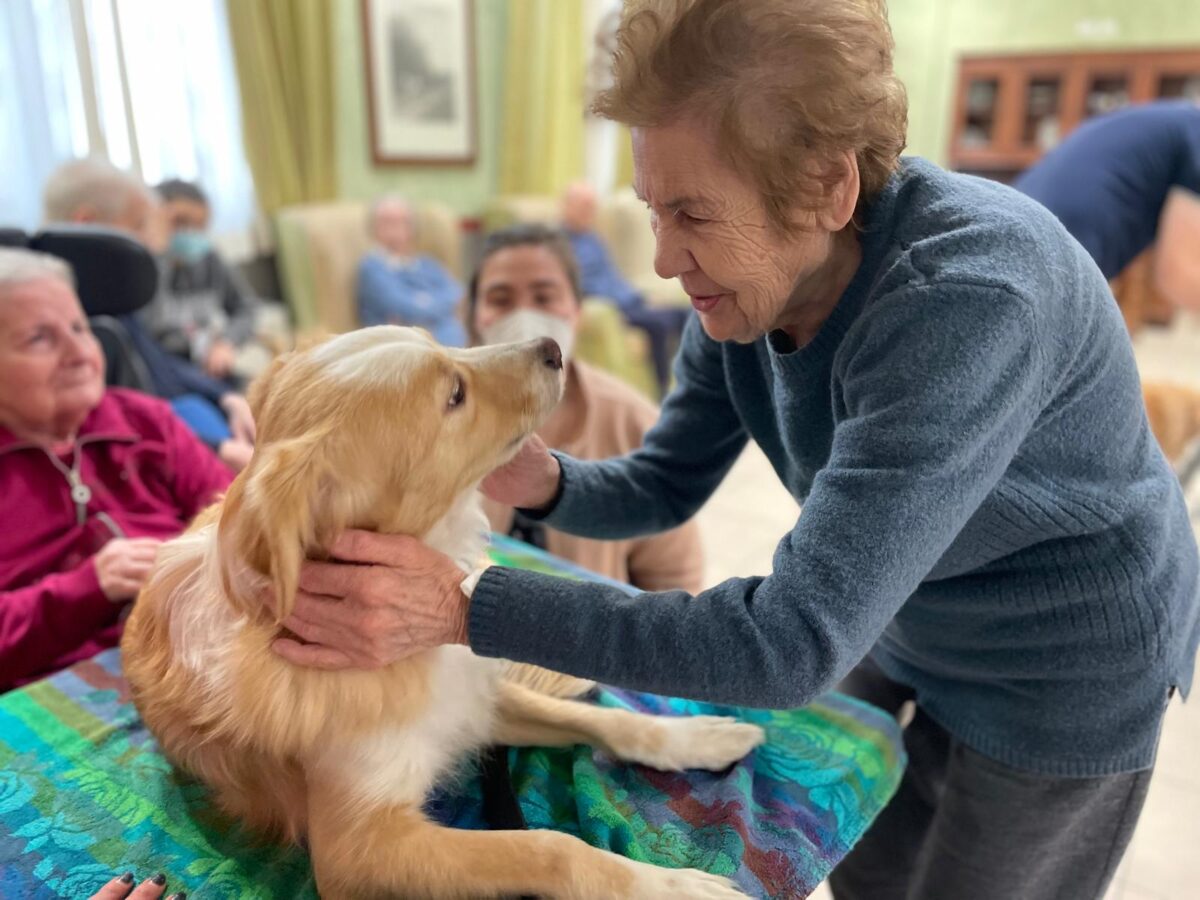 Pet Therapy